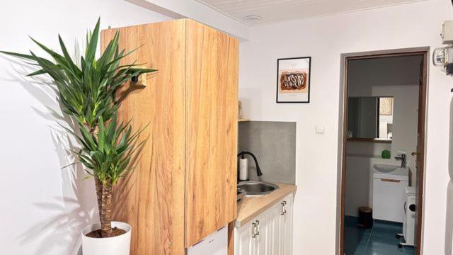 Apartament Boho Stare Miasto Nowy Sącz Zewnętrze zdjęcie